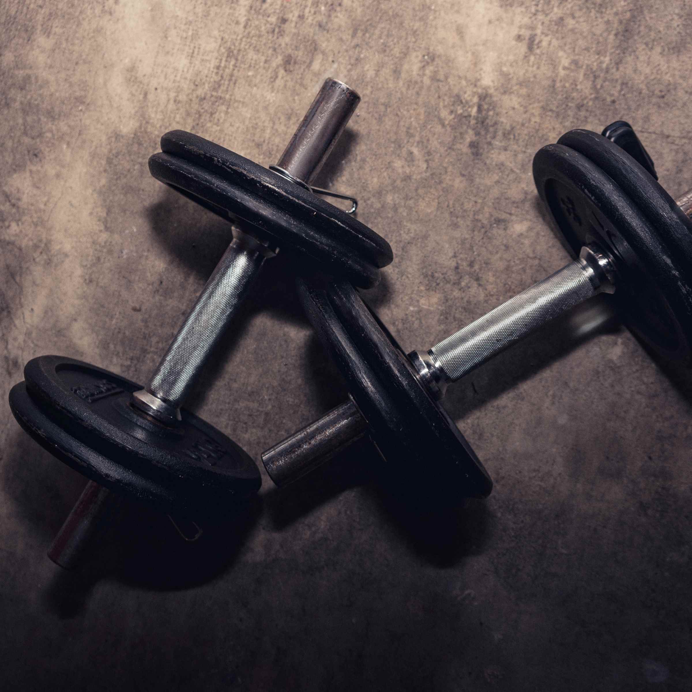 haltère musculation