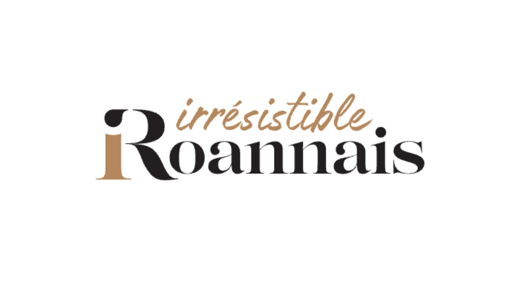 magazine tourisme roanne